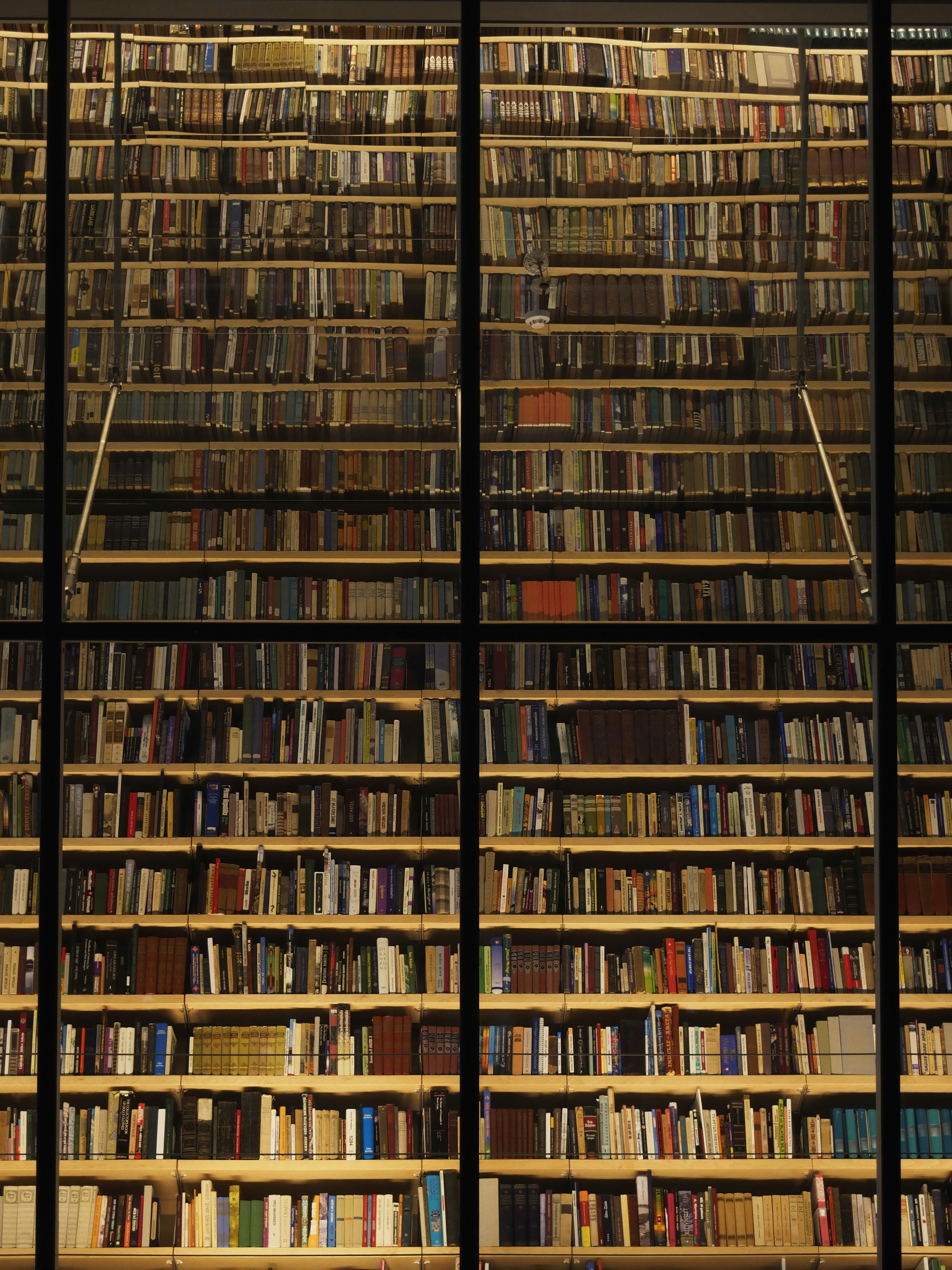 ��� ������� �������