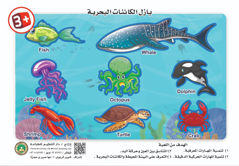 ���� �������� �������